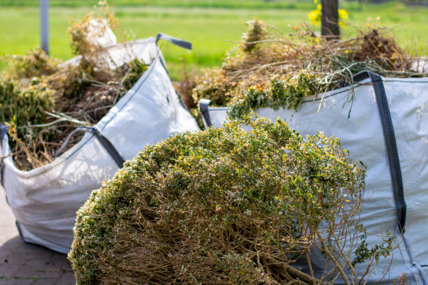 Best Recycling Services for Junk  in Bigfork, MT